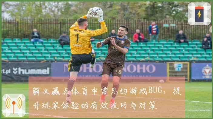 解决赢点体育中常见的游戏BUG，提升玩家体验的有效技巧与对策