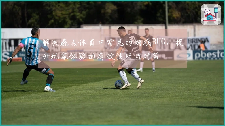 解决赢点体育中常见的游戏BUG，提升玩家体验的有效技巧与对策